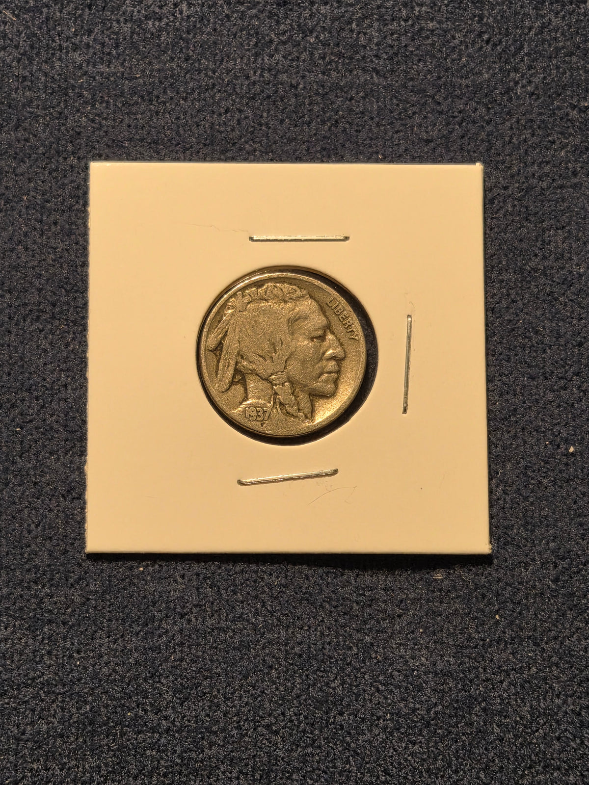1937 Buffalo Nickel