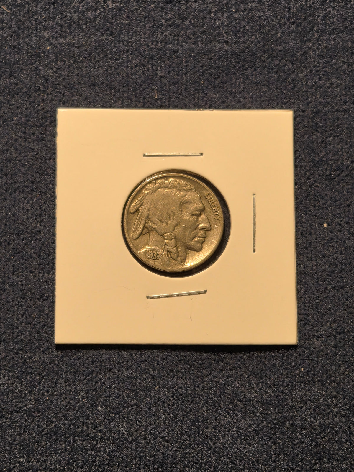 1937 Buffalo Nickel